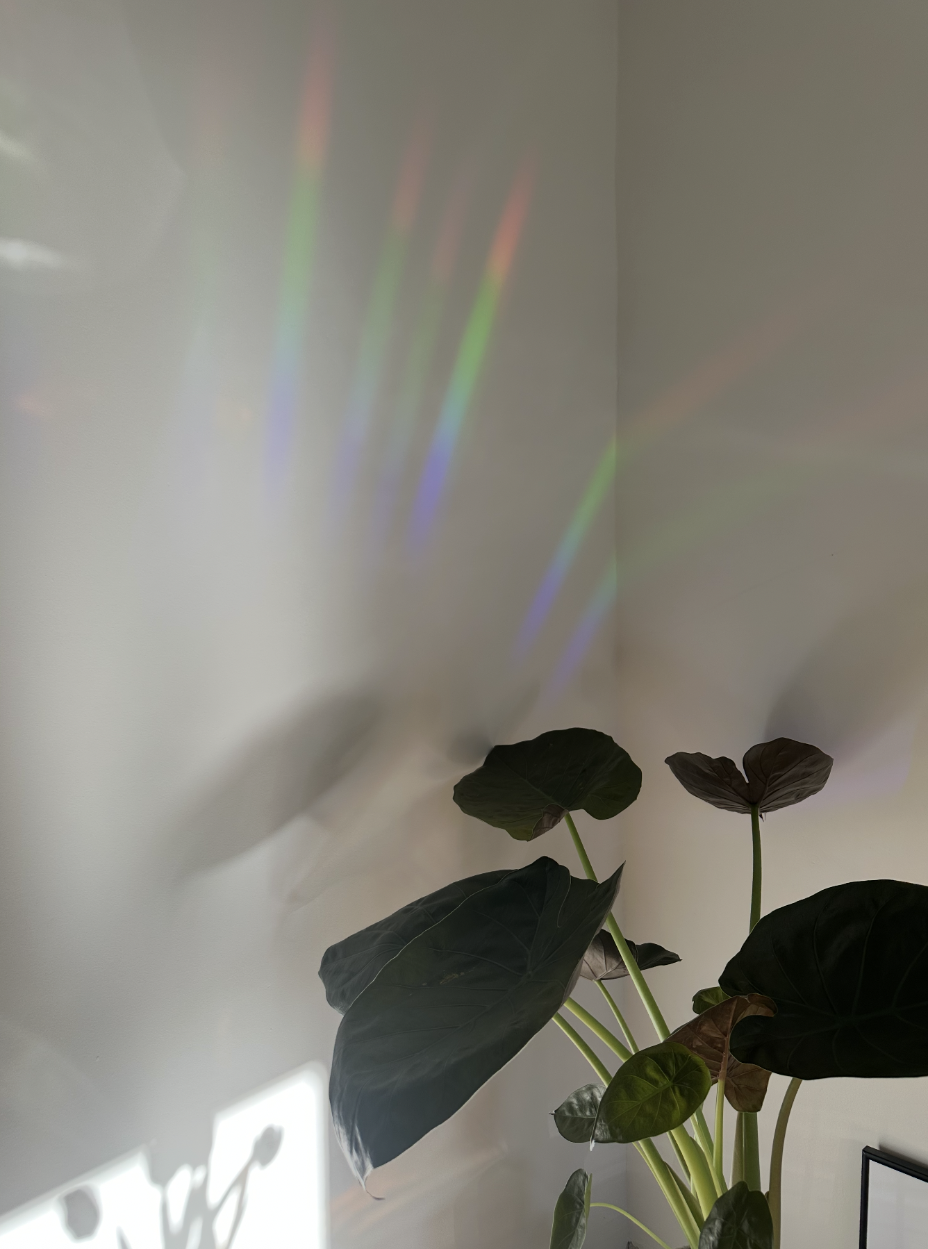 Bildschirmfoto-2025-06-15-um-19.45.59